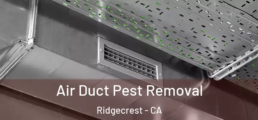  Air Duct Pest Removal Ridgecrest - CA
