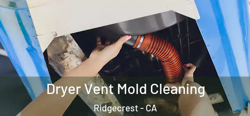  Dryer Vent Mold Cleaning Ridgecrest - CA