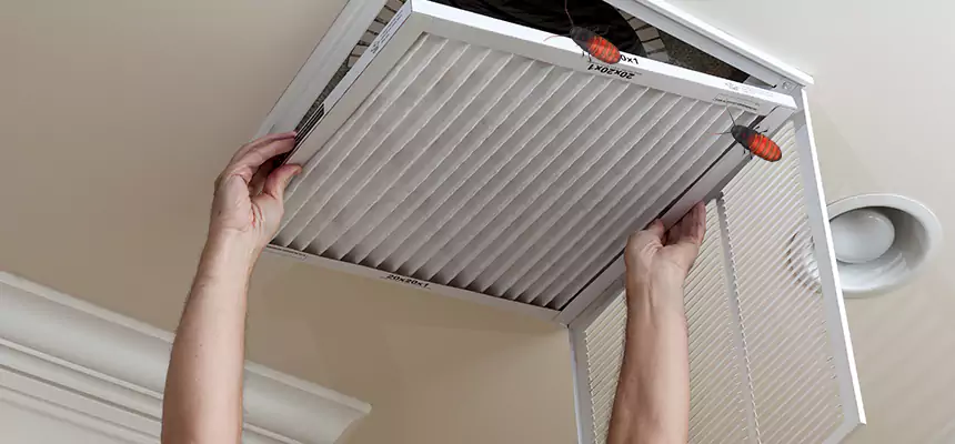 Preventive Cockroach-Proofing for Ducts in Ridgecrest