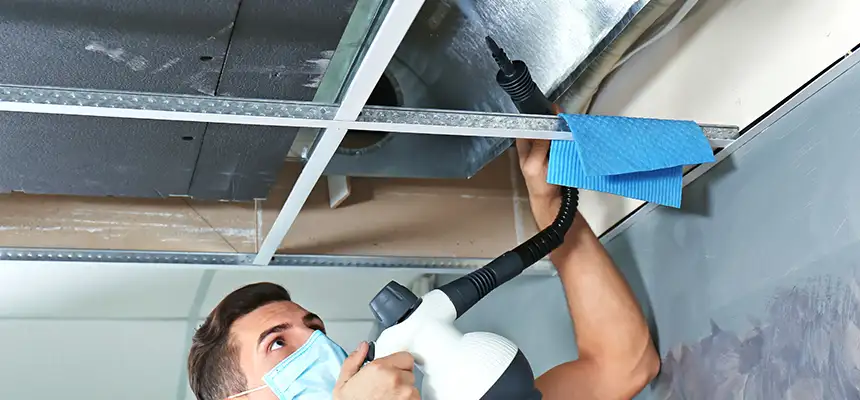 Our Air Duct Rodent Removal Services in Ridgecrest, CA