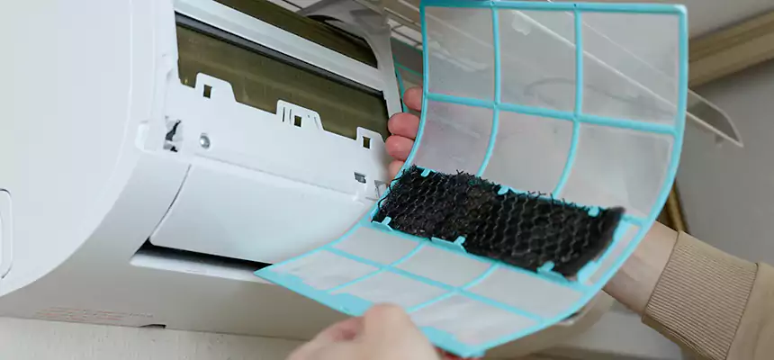 Gentle Ductwork Odor-Control Pet Dander Duct Cleaning in Ridgecrest, CA