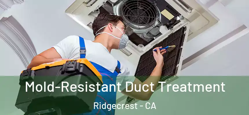  Mold-Resistant Duct Treatment Ridgecrest - CA
