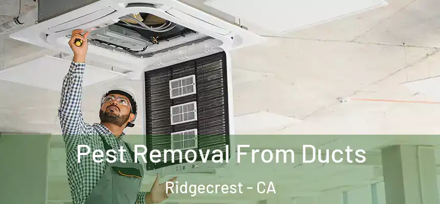 Pest Removal From Ducts Ridgecrest - CA
