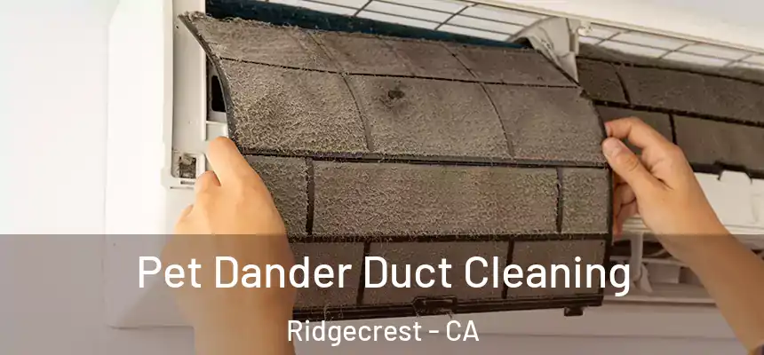  Pet Dander Duct Cleaning Ridgecrest - CA