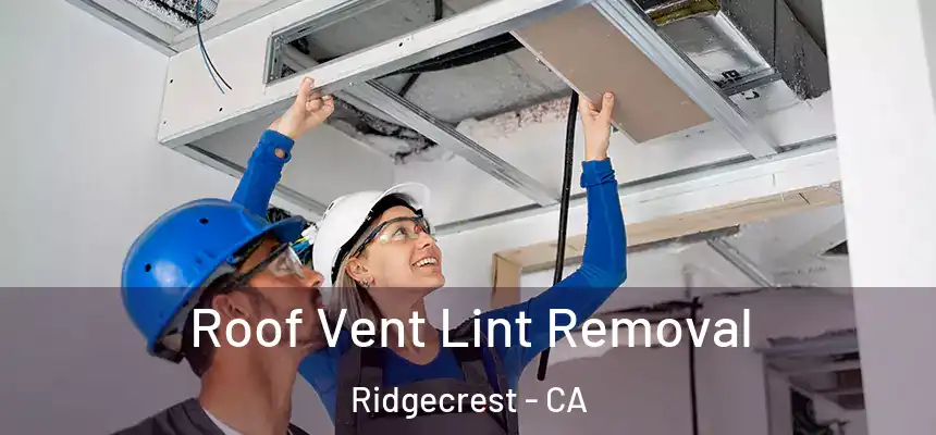  Roof Vent Lint Removal Ridgecrest - CA