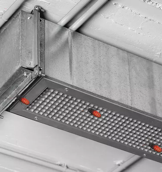 About Air Duct Cockroach Removal in Ridgecrest, CA