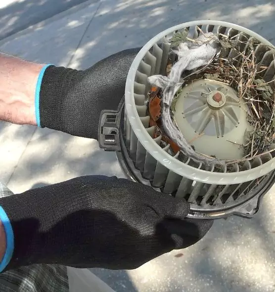 About Air Duct Rat Removal in Ridgecrest, CA