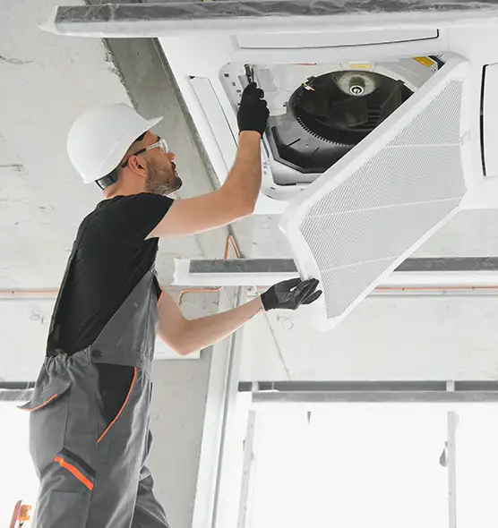 About Air Duct Rodent Removal in Ridgecrest, CA