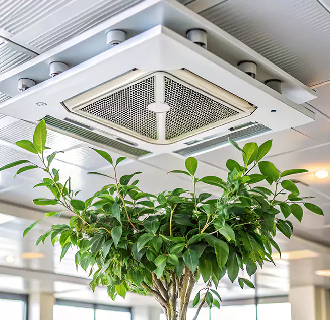 Why Homeowners & Businesses Trust Us in Ridgecrest, CA?